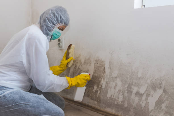 Water Damage Restoration in Westernport, MD